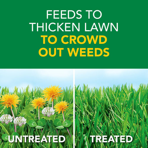 Scotts® Turf Builder® Weed & Feed (4000 sq. ft.)