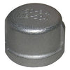Stainless Steel Pipe Cap, 3/4-In.