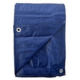 Polyethylene Tarp, Blue, 5 x 30-Ft.