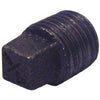 Pipe Fitting, Black Plain Plug, 2-In.