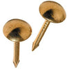 Upholstery Nails, Roundhead, Brass, Small, 25-Pk.