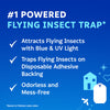 Zevo Flying Insect Trap Fly Trap (Twin Pack) (Twin Pack)