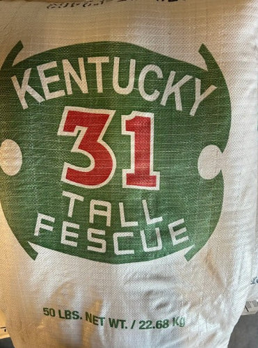 Barenburg Kentucky 31 Tall Fescue Grass Seed
