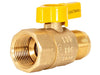Eastman Flare Female Straight Gas Valve