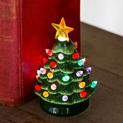 Evergreen Products Mini Ceramic Tree LED Color Changing