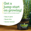 Bonnie Plants Clean and Fresh Green Romaine Lettuce (2 Pack)