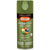 COLORmaxx Spray Paint + Primer, Gloss Seaweed, 12-oz.
