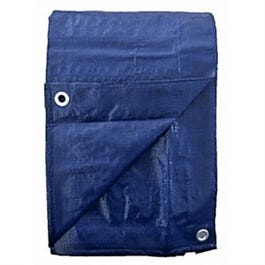 Polyethylene Tarp, Blue, 5 x 30-Ft.