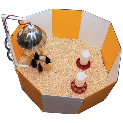 FARM INNOVATORS BABY CHICK STARTER HOME (ORANGE/WHITE)