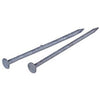 Common Nail, 20D, Galvanized, 4-In., 50-Lb.