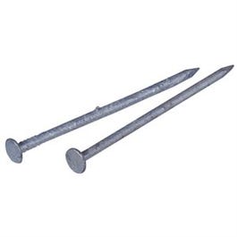 Common Nail, 20D, Galvanized, 4-In., 50-Lb.