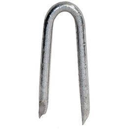 Galvanized Fence Staple, Hot Dipped, 1.5-In., 5-Lb.