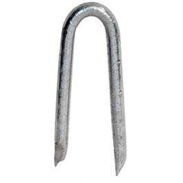 Hot Dipped Galvanized Fence Staple, 1.75-In., 50-Lbs.