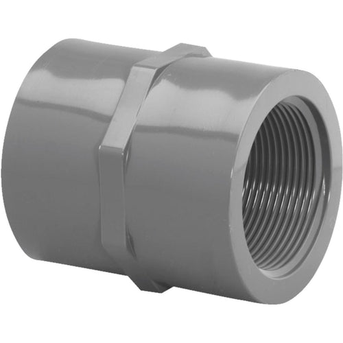 Charlotte Pipe 3/4 In. FIP x FIP PVC Coupling