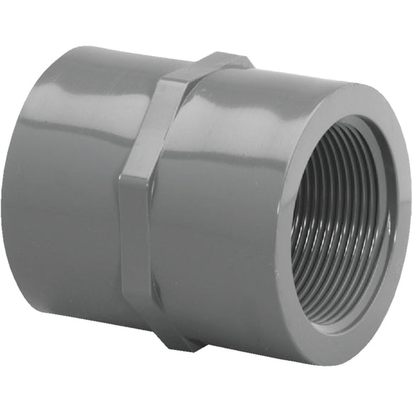 Charlotte Pipe 1 In. FIP x FIP PVC Coupling