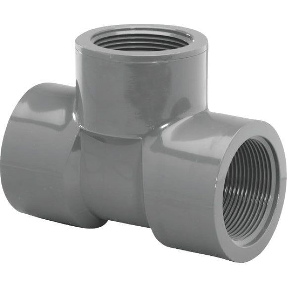 Charlotte Pipe 1-1/4 In. FIP Schedule 80 PVC Tee